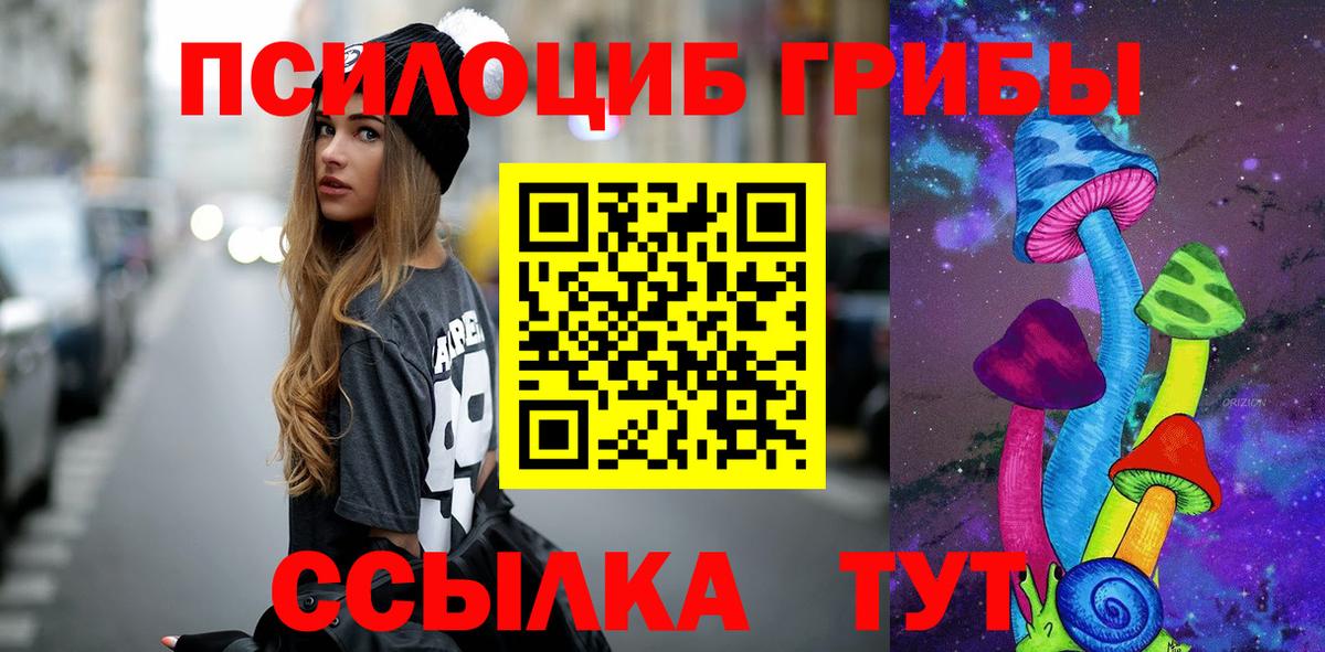 Галлюциногенные грибы Magic Shrooms  Галлюциногенные грибы Psilocybe  Вход с VPN  Новоалександровск 